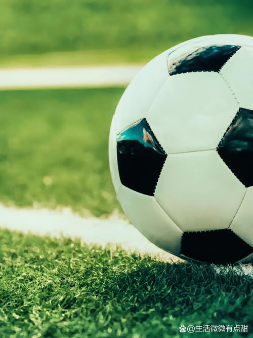 足球迷观赛场景